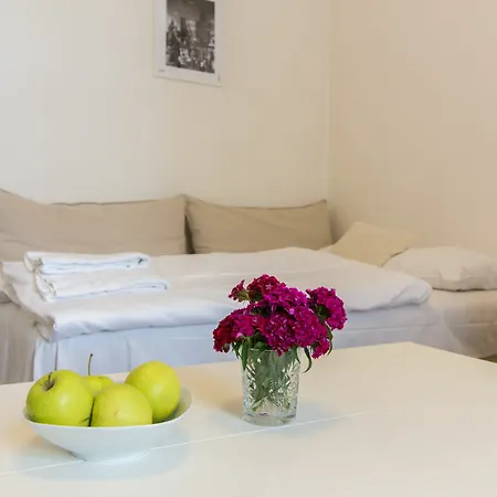 Apartamento On Wenceslassquare For 6